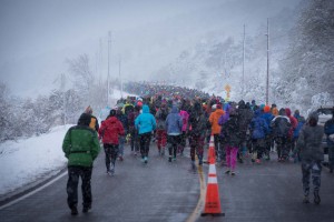 2016 Horsetooth Half Marathon Start