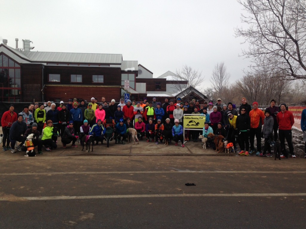 fortcollinsrunningclubnbrun1